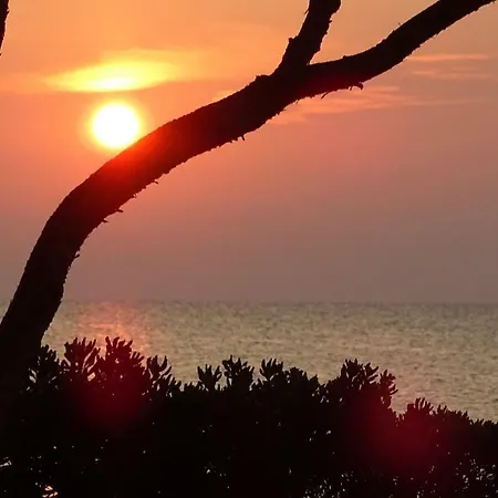 - The House Of The Rising Sun Appartamento *
